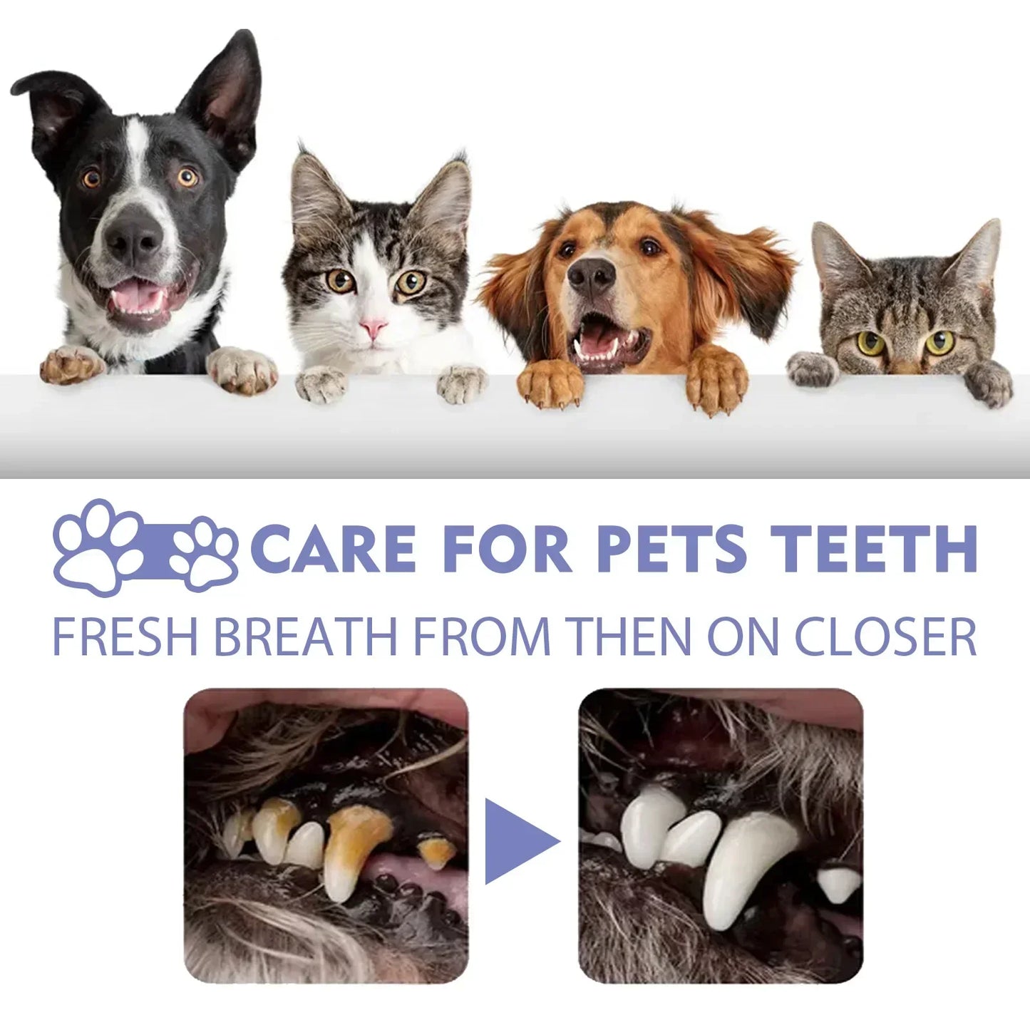 Pet Tooth Cleaning Spray Natural Fresh