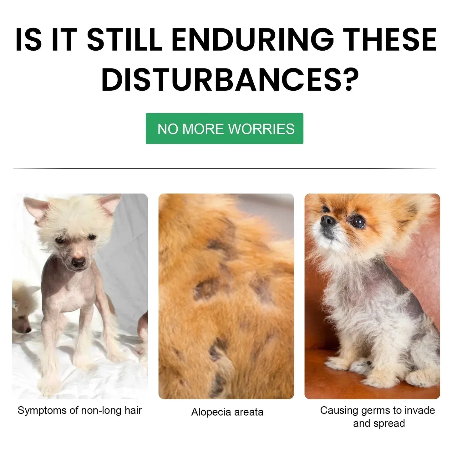 Natural Pet Hair Growth Treatment