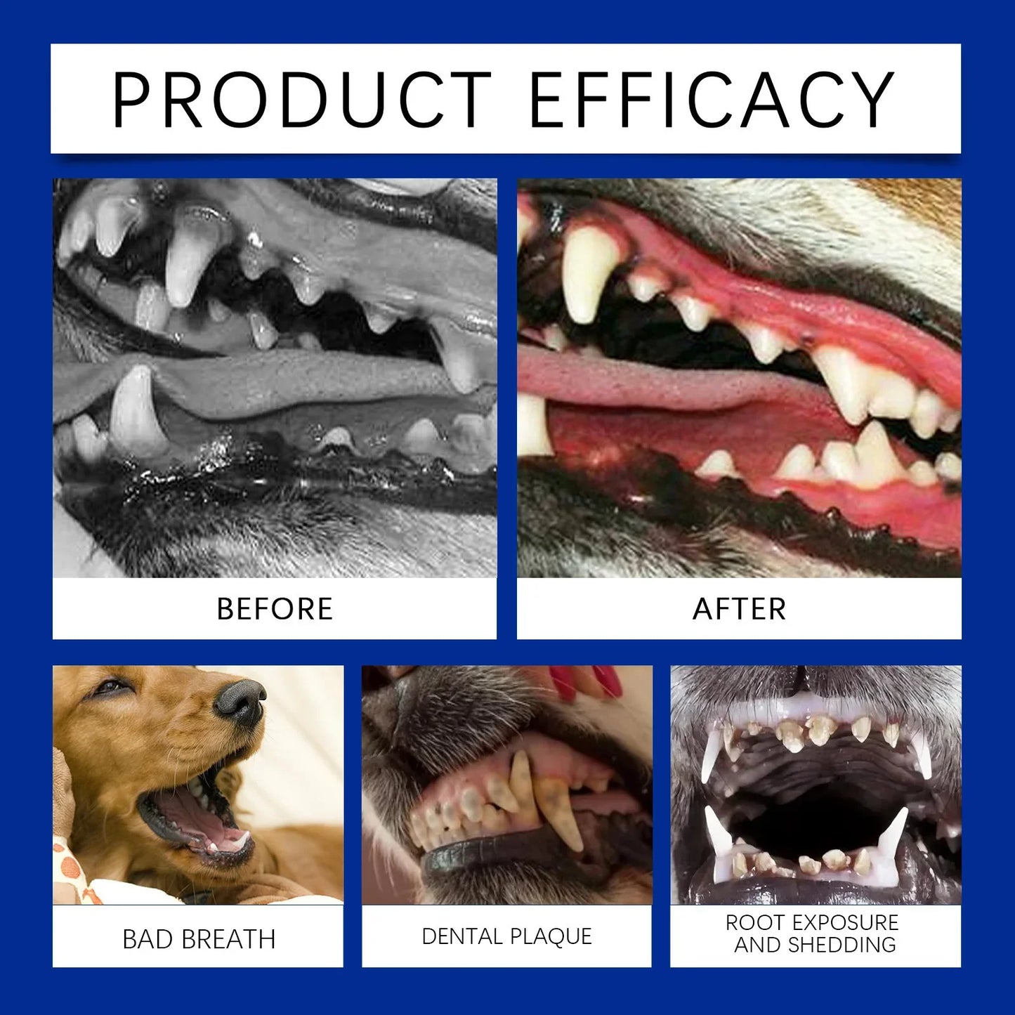 Dog Teeth Cleaning Powder Natural Formula