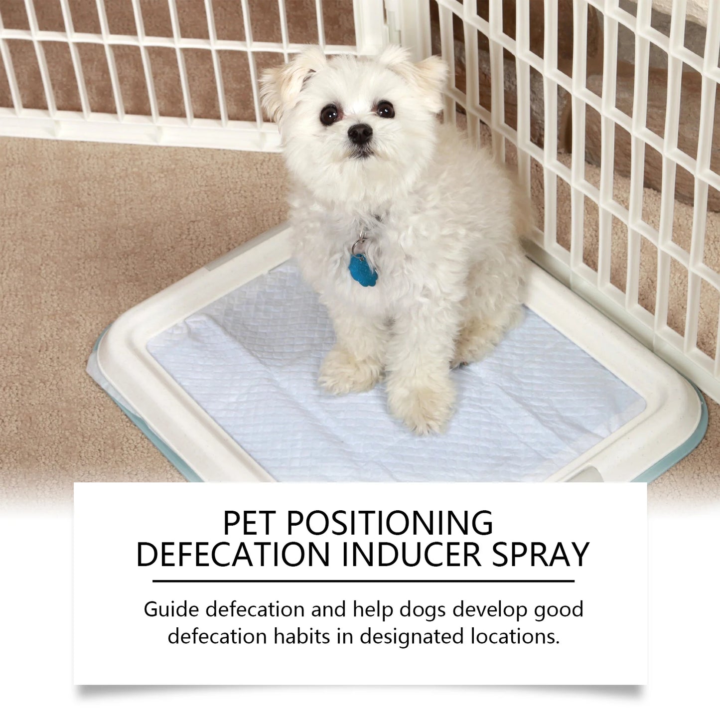 Pet Potty Training Spray Organic