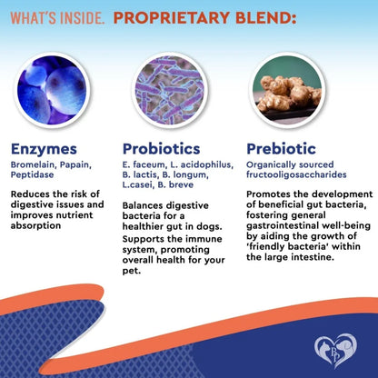 Natural Pet Probiotics Digestive Supplement