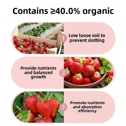 Strawberry Organic Household Fertilizer Solution