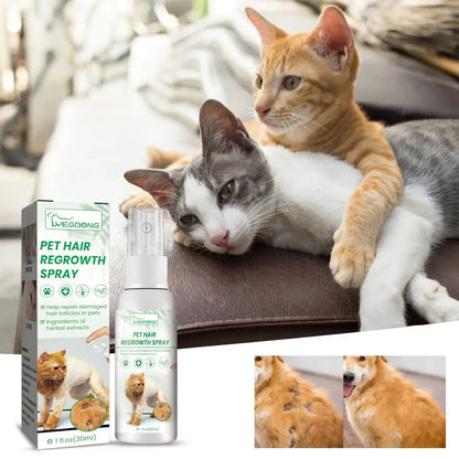 Natural Pet Hair Growth Treatment
