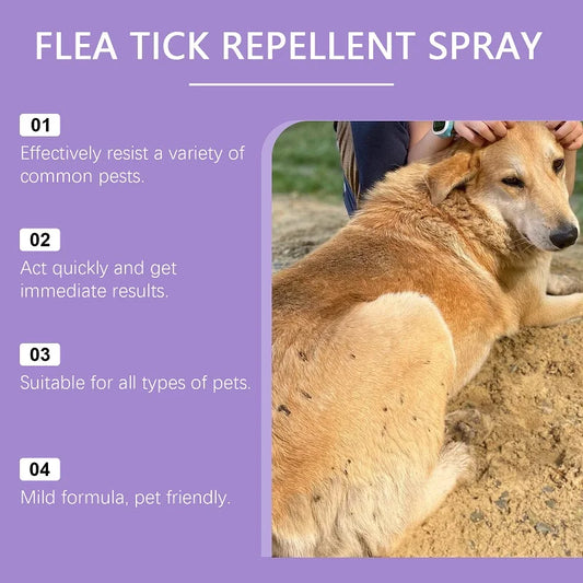 Natural Pet Flea Mite Spray