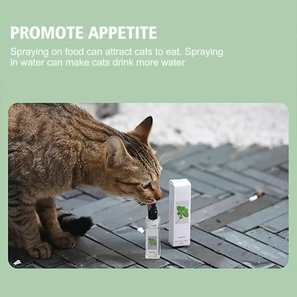 Natural Cat Mint Health Spray