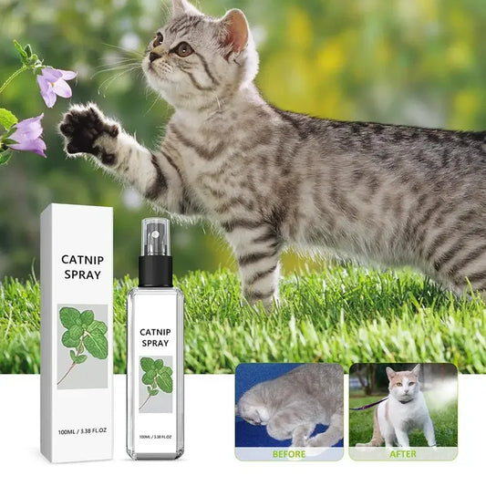 Natural Cat Mint Health Spray