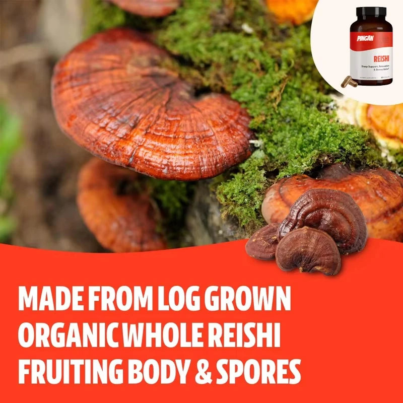 Organic Lingzhi Mushroom Longevity Supplement