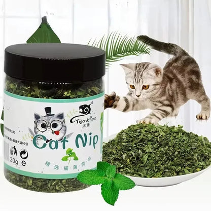 Catnip Toy Natural Organic Interactive Fun