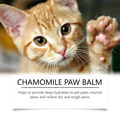 Natural Dog Paw Protection Balm