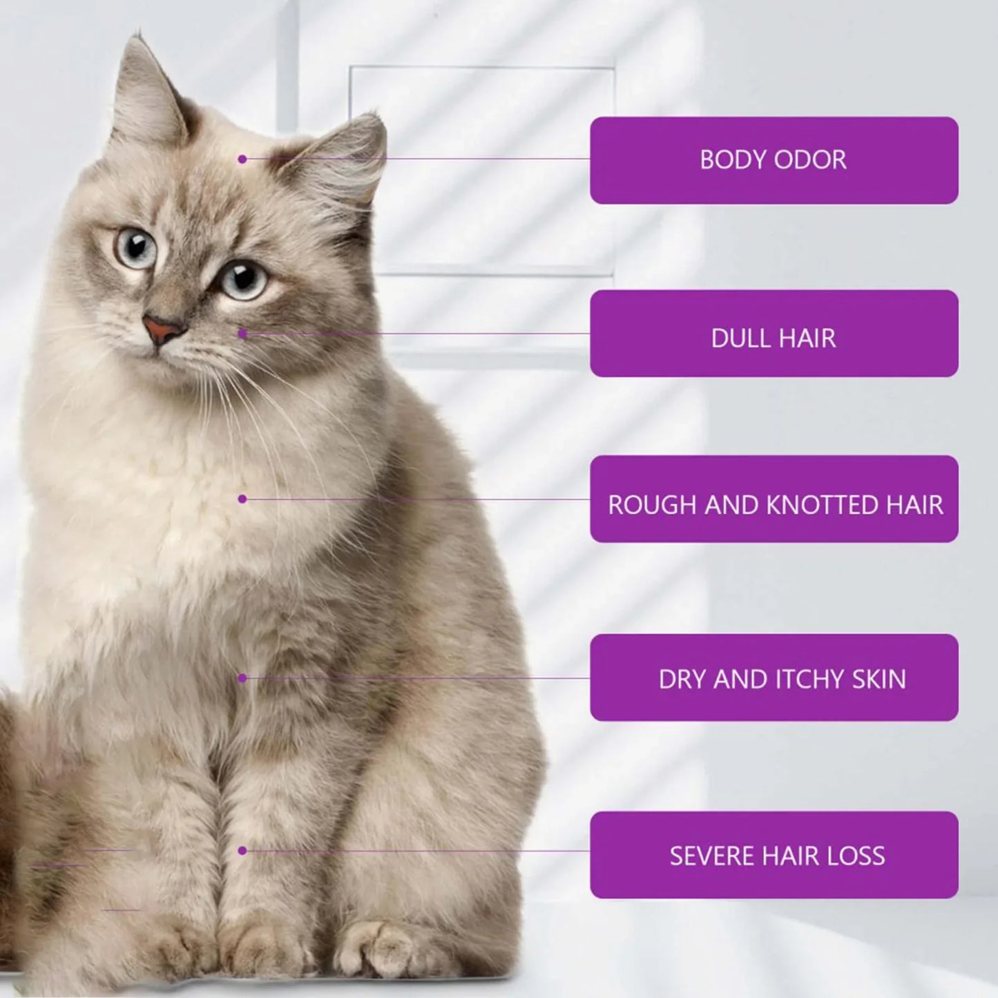 Natural Lavender Pet Care Shampoo