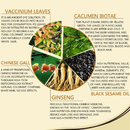 Natural Herbal Hair Color Shampoo for Gray Hair Nourishing Care