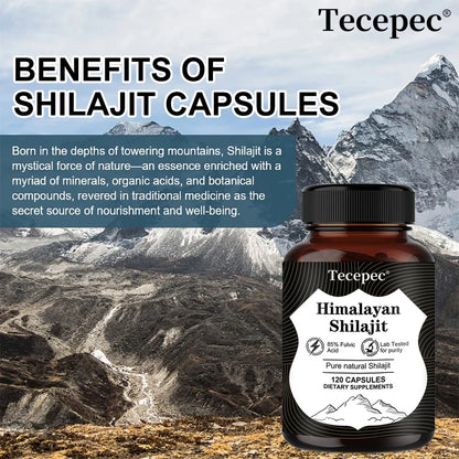 Natural Himalayan Shilajit Energy Capsules