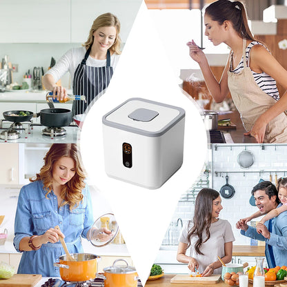 Household Rice Storage Container