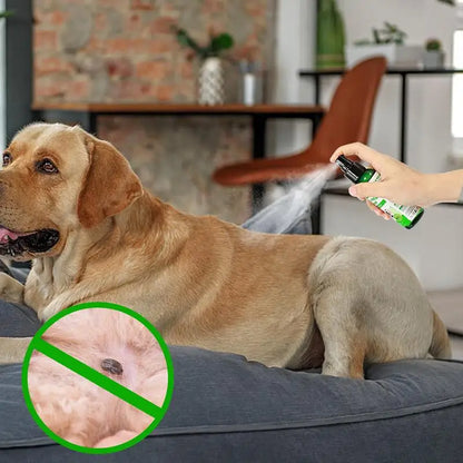 Natural Pet Flea Tick Spray