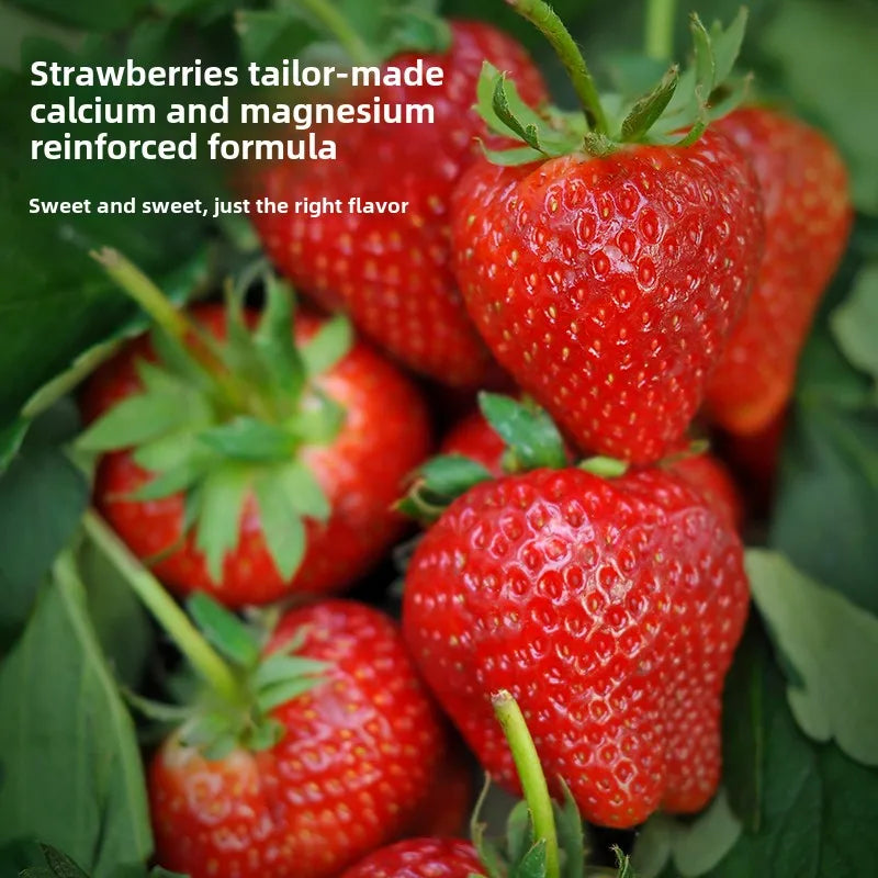Strawberry Organic Household Fertilizer Solution