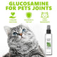Natural Cat Mint Health Spray