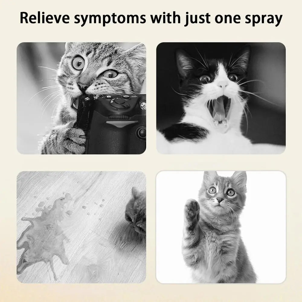 Natural Cat Calming Pheromone Spray