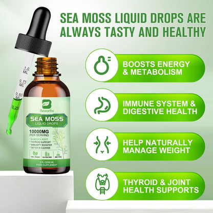 Organic Sea Moss Supplement