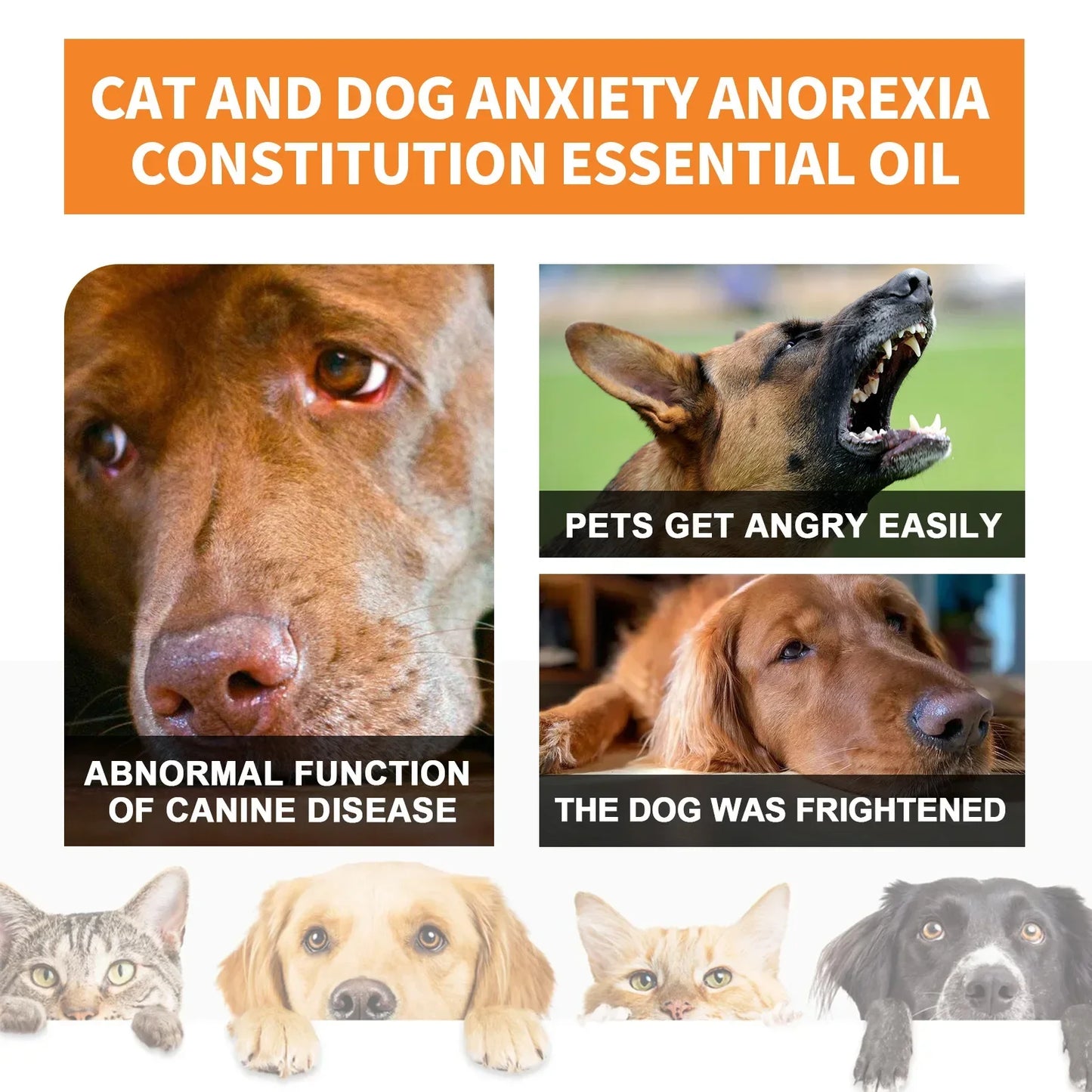Pet Anxiety Relief Natural Organic Drops
