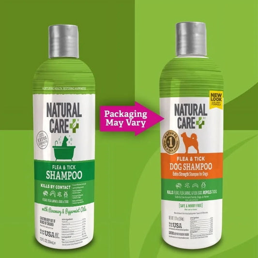Natural Flea Tick Dog Shampoo