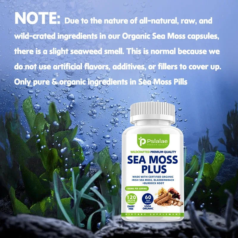 Organic Seaweed Algae Vegetarian Capsules